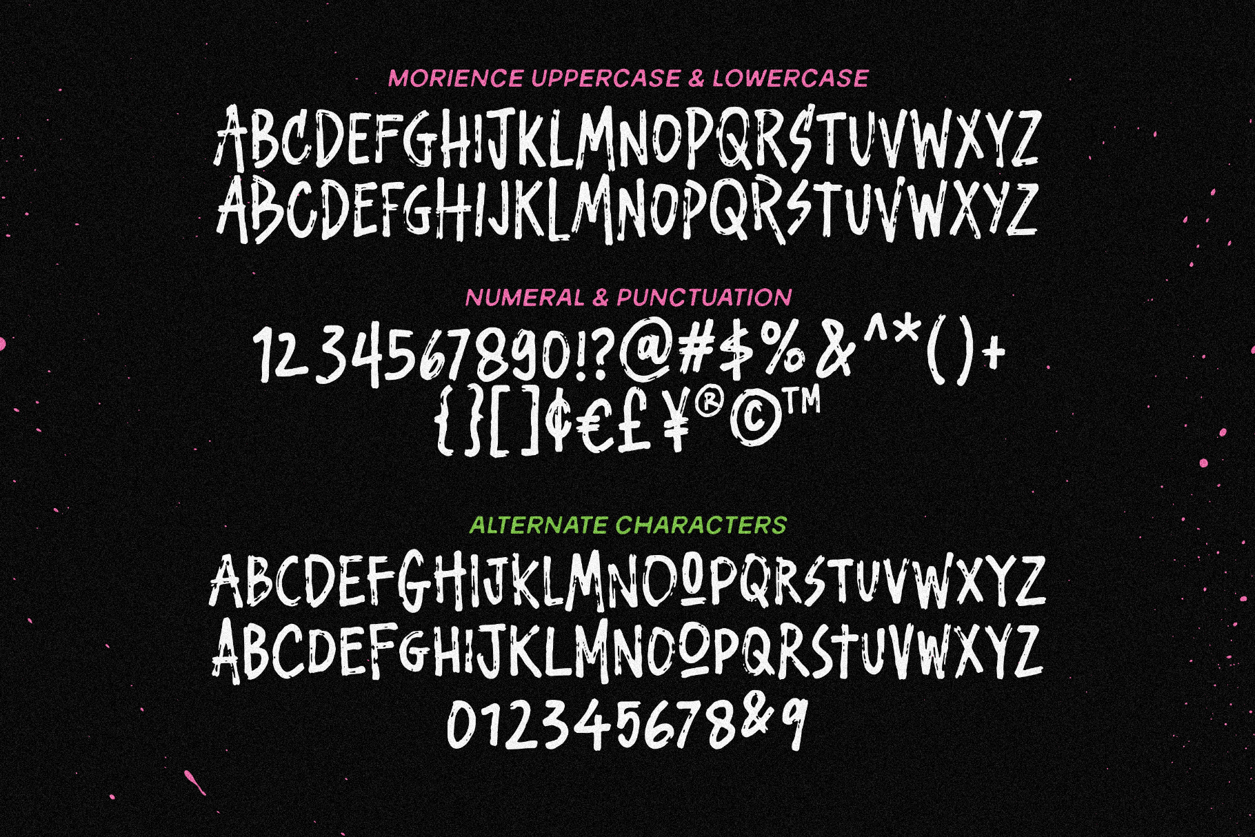Web Morience Poster 8